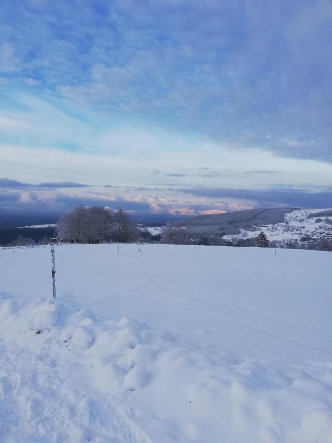 Вілла Domaine De Siane Plaine Екстер'єр фото
